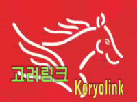 101230-koryolink-14