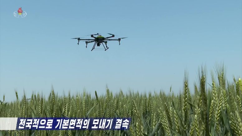 A multi-rotor agricultural drone is seen flying above crops in a field